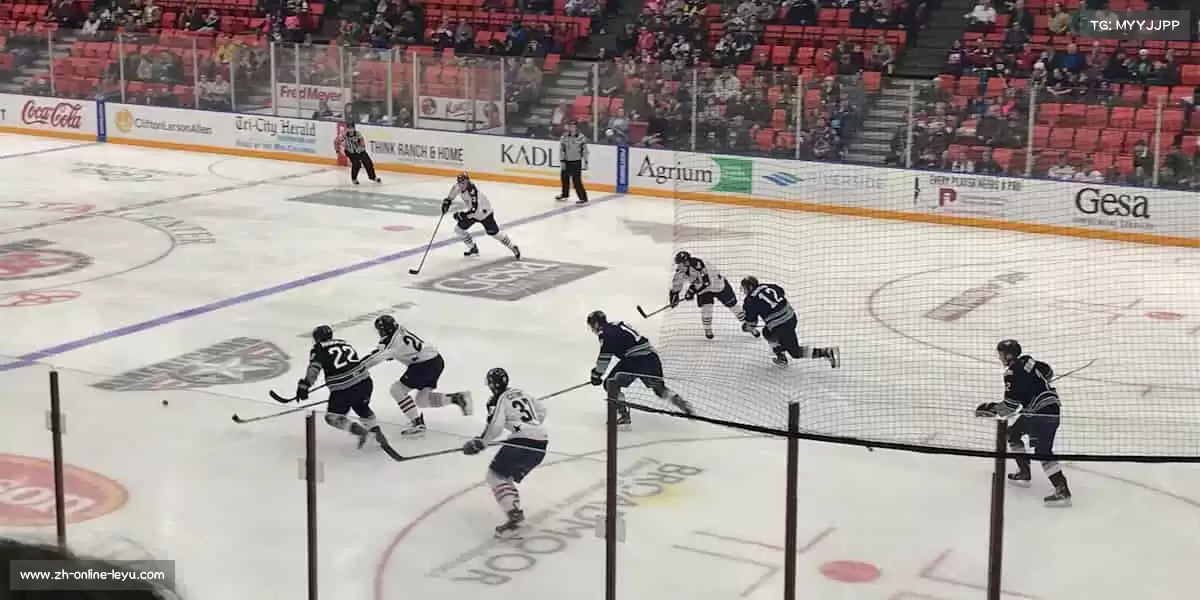 乐鱼——跳跃吧，让世界看见你的高度！